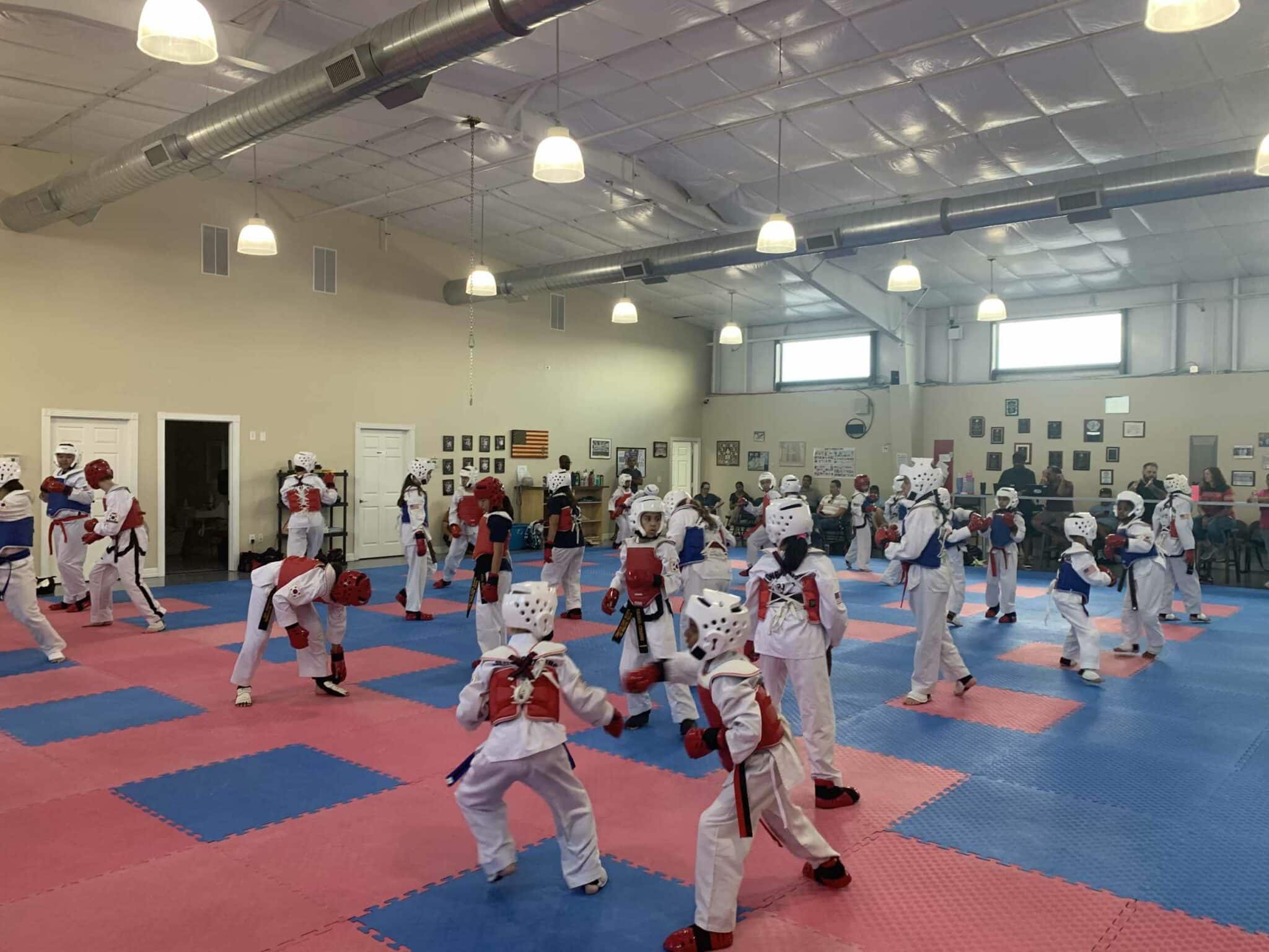 Young Brothers Tae Kwon-Do Programs