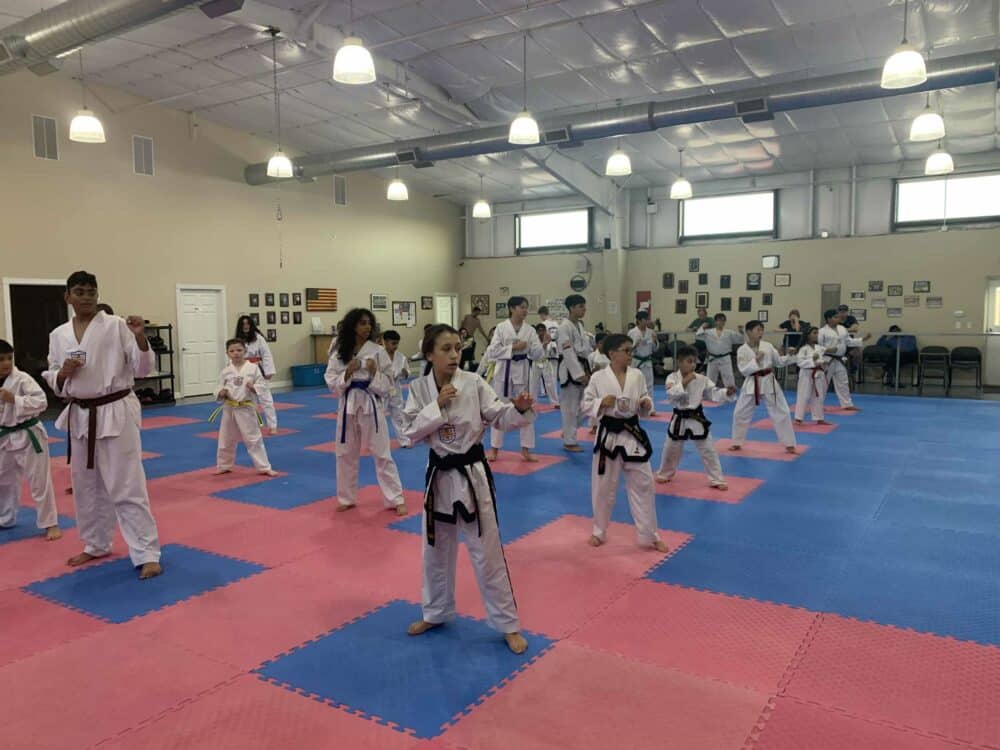 Young Brothers Tae Kwon-Do Children <br> Tae Kwon-Do