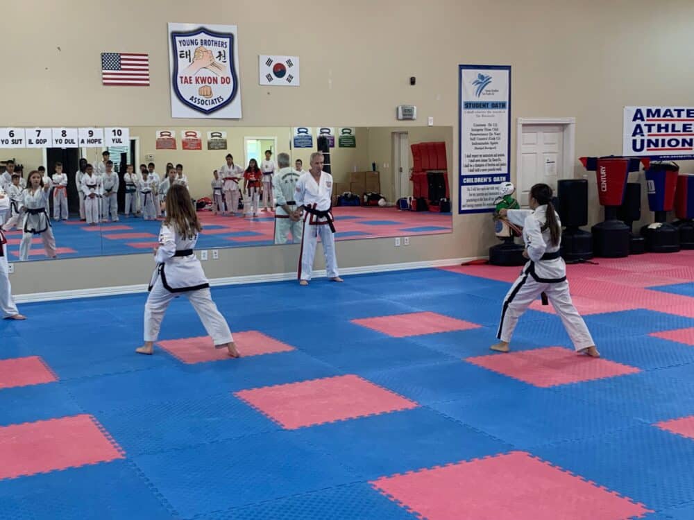 Young Brothers Tae Kwon-Do Programs image
