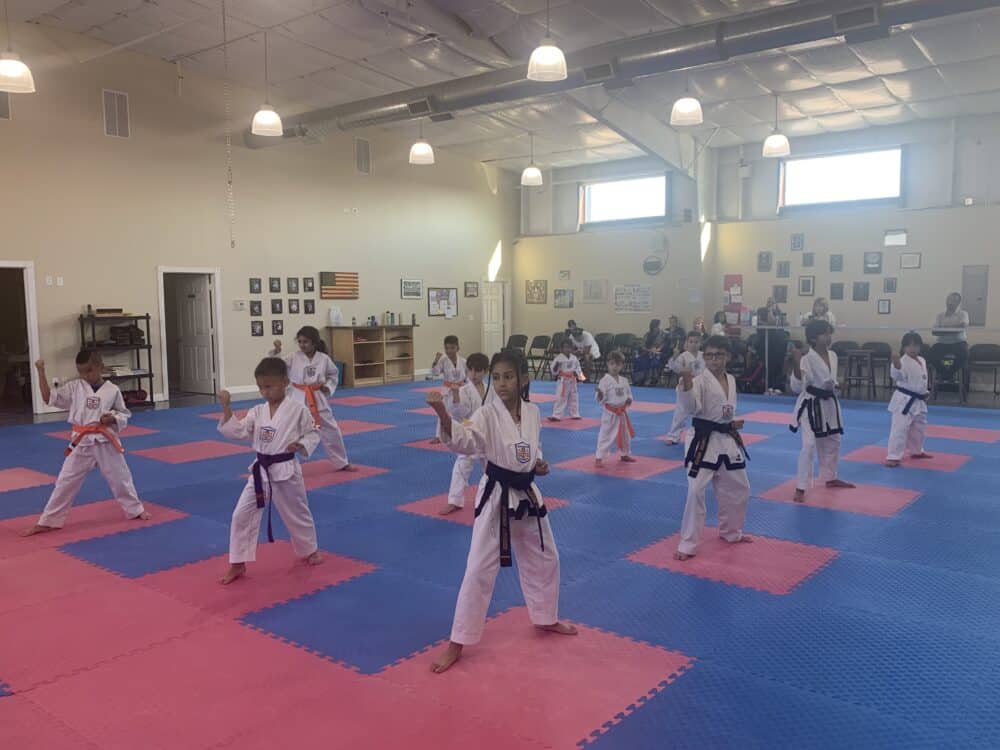 Young Brothers Tae Kwon-Do Young Children <br> Tae Kwon-Do