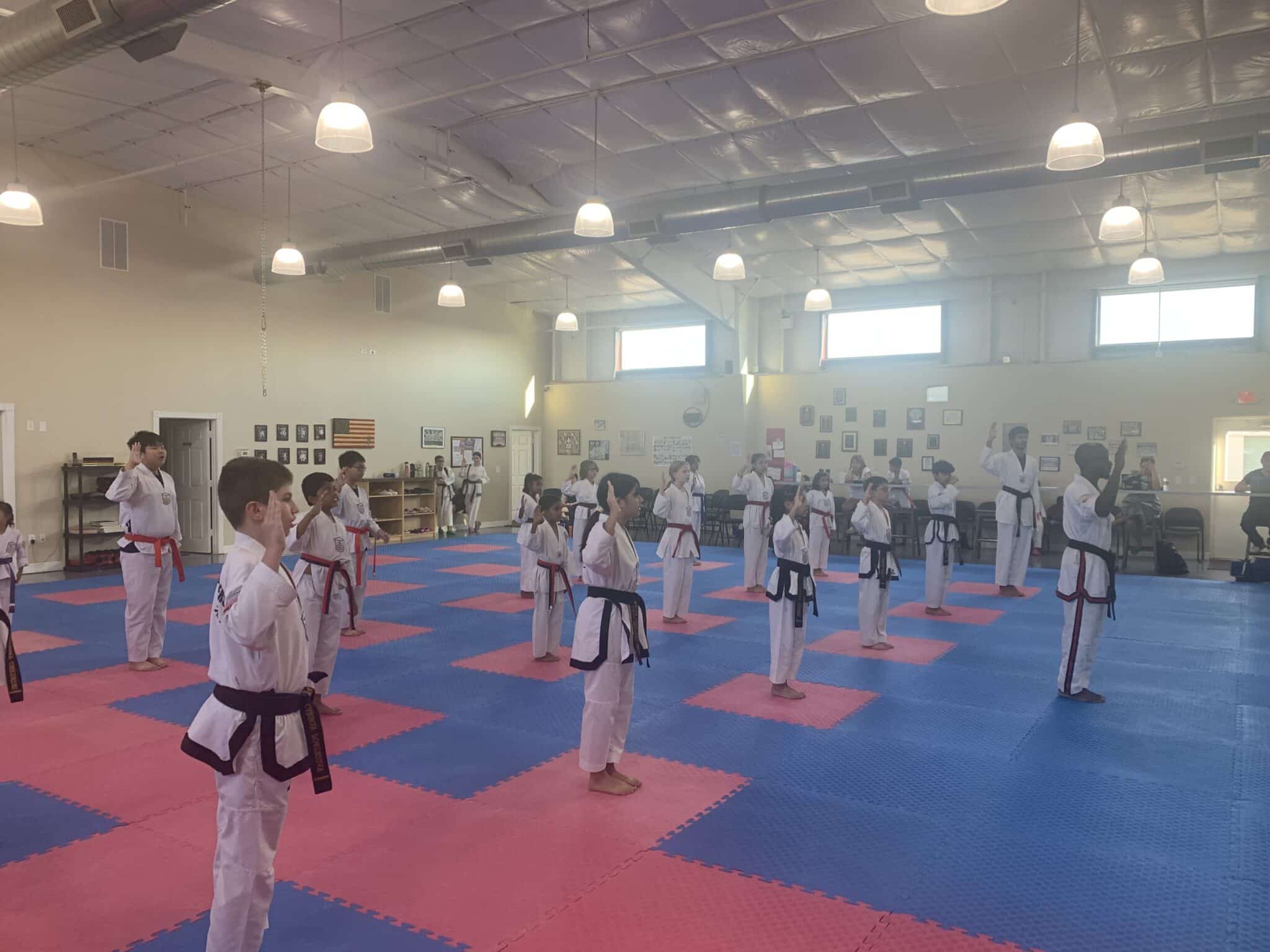 Young Brothers Tae Kwon-Do The Student Pledge & Korean Terminology