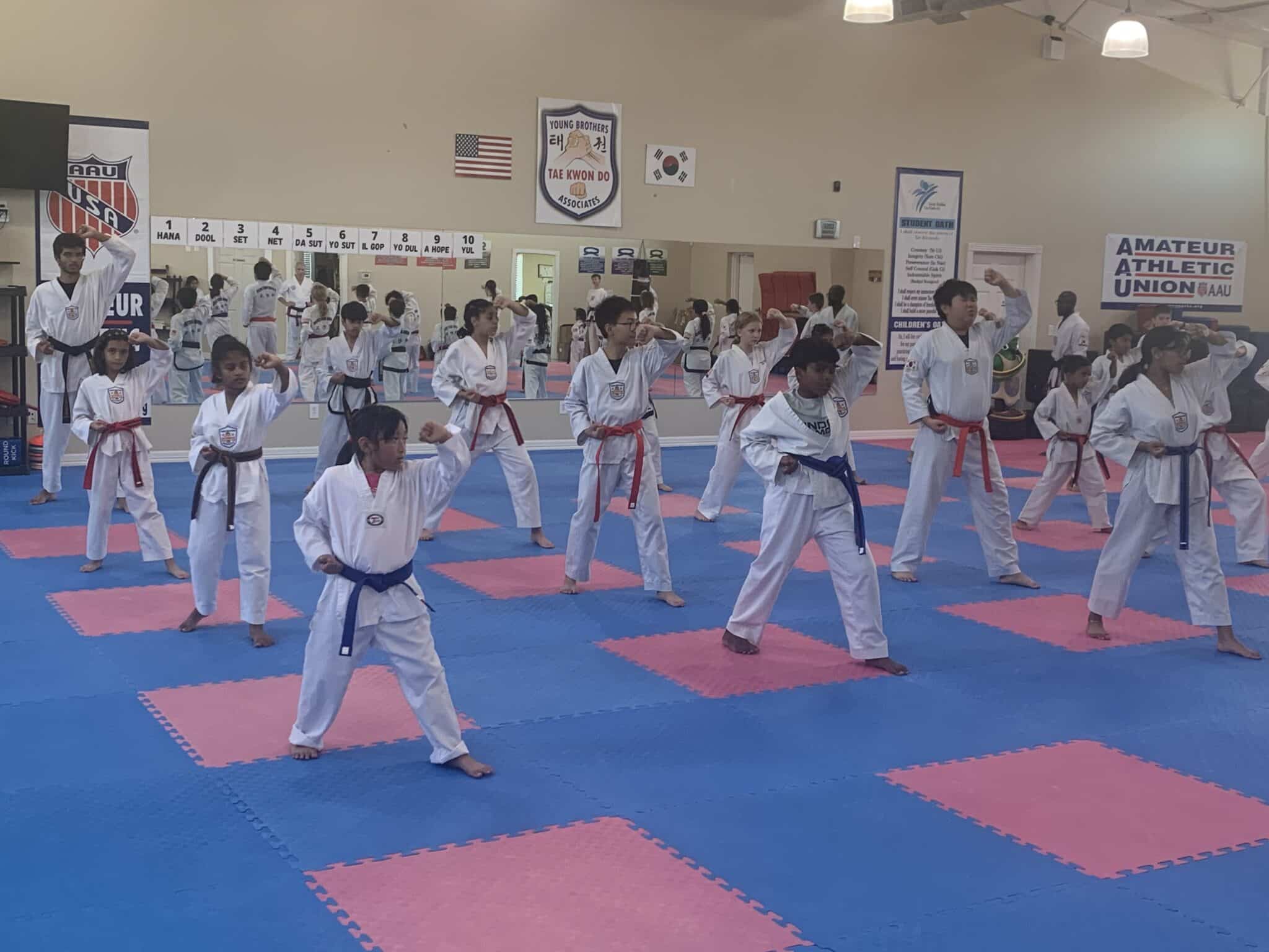 Young Brothers Tae Kwon-Do Tae Kwon-Do: A History and Heritage